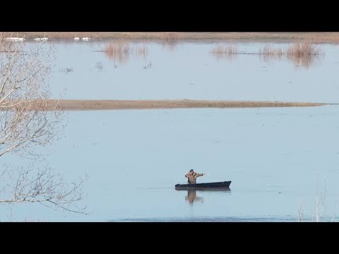 Вода продолжает прибывать и затапливать все вокруг. Ситуация в Курганской области ухудшилась