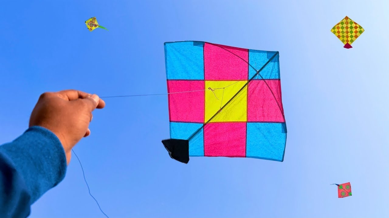 Caught kites 😱 | Kite looting new video | Kite catching | Kite