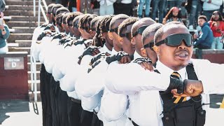 Alpha Phi Alpha Delta Gamma Aamu Spring 22' Probate