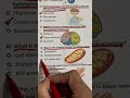 Nursing Exam