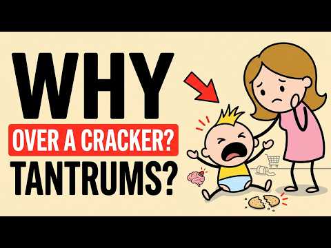 Why Toddlers Throw Tantrums — And Why It's Evolutionarily Perfect | Baby Mind Lab