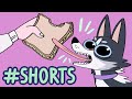 My dog is odd. (shorts version)