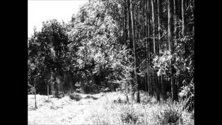 Bleak Wind - Abyss of Order