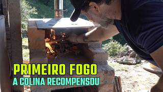 Finalizei o Fogão e Colhi Mais 15kg de Bergamotas.