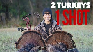 2 Turkeys, 1 Shot- Crazy Bowhunting! Bowmar Bowhunting