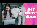 Work from home hacks for pet parents! 👉 That actually INCREASE productivity!