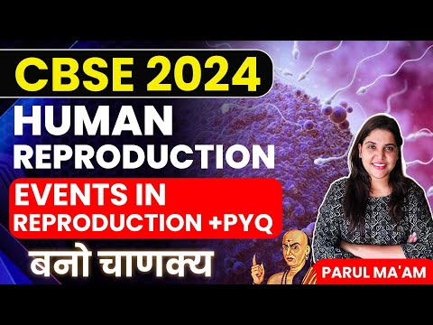 CBSE 2024 | Human Reproduction | Events in Reproduction With PYQs | PARUL MAM