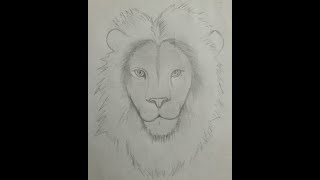 Drawing: The Loin Sketch | Loin King  | Rough Sketch #shorts