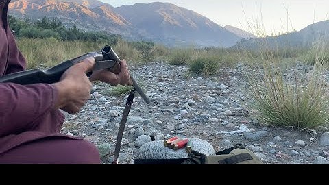 Duck hunting in Drosh Chitral #duck #hunting