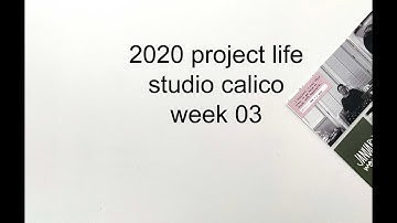 2020 project life process video | studio calico | week 03