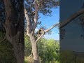 Barthès Bois 34