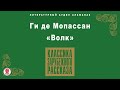 ГИ ДЕ МОПАССАН «ВОЛК». Аудиокнига. Читает Александр Котов