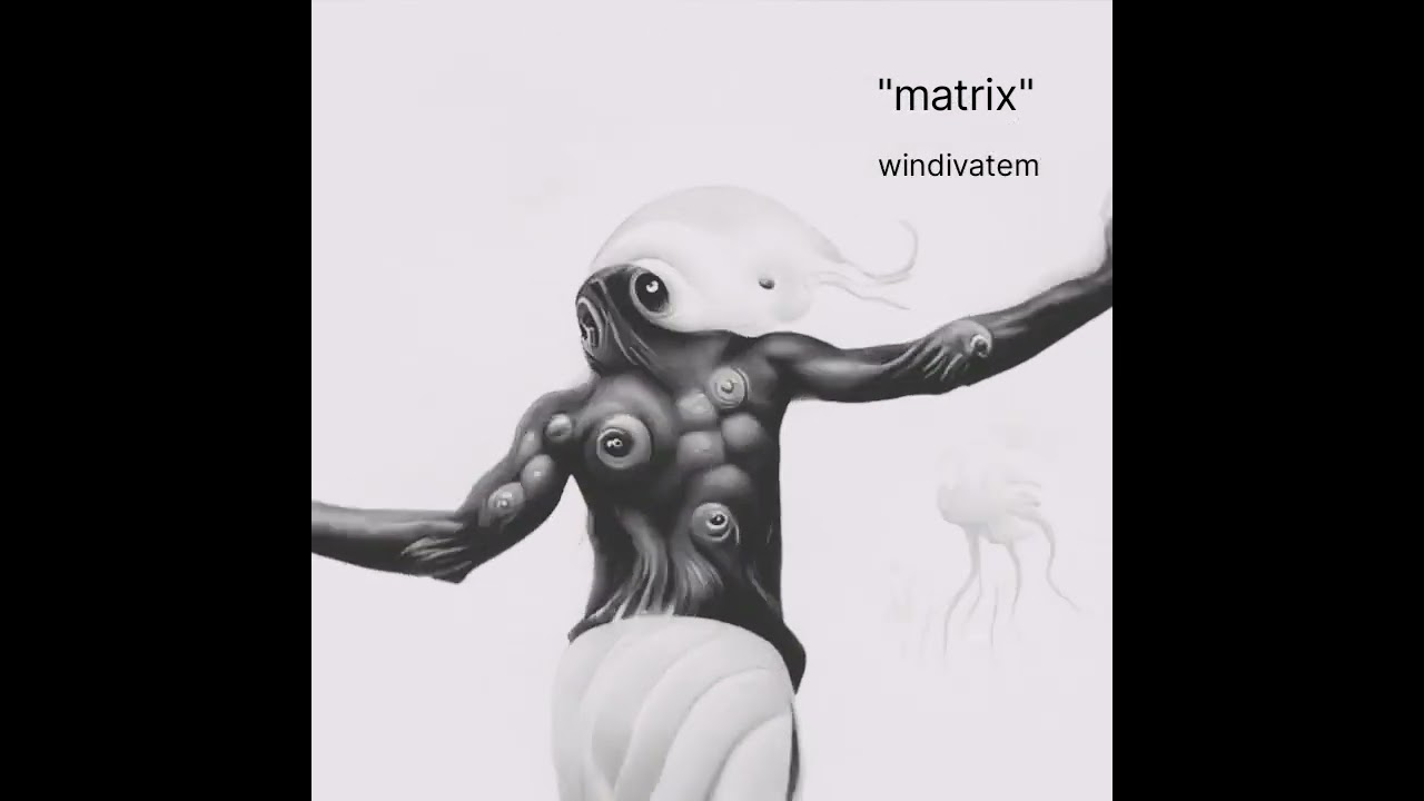 matrix-windivatem