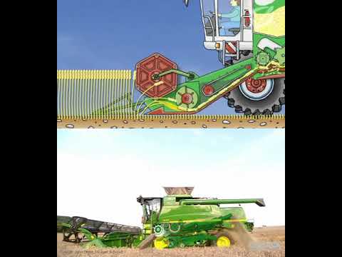 How a combine harvester works.