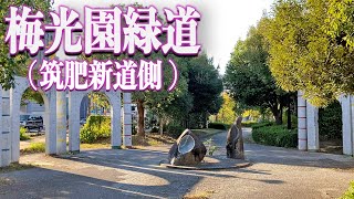 国鉄の廃線跡の一部を整備して作られた遊歩道【梅光園緑道 筑肥新道側】