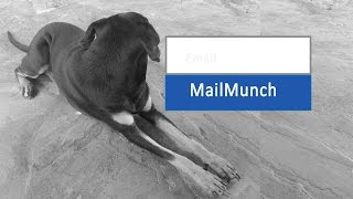 4 creating embedded forms in Mailmunch
