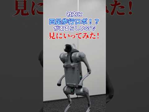 会社の四足歩行ロボットを見に行ってみた！#ロボット #四足歩行ロボット #犬型ロボット #ペット #日経クロステック #日経クロステックNEXT #日経BP