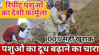 🐄 Desi Khurak Se Badhaye Doodh! | 100% Natural Feed Formula for Cows & Buffaloes