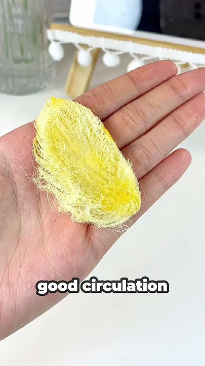 Creative DIY Mango Seed Craft
