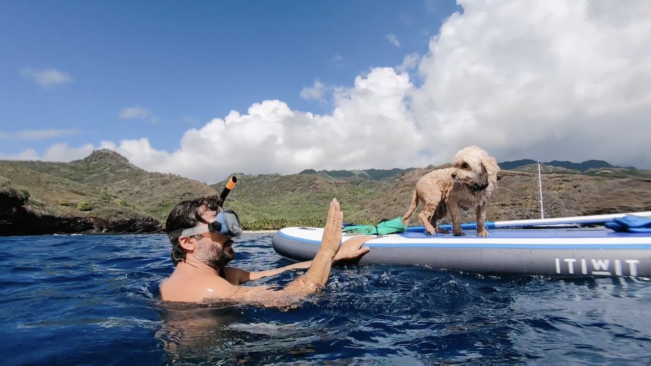 Manta ray, jungle adventure, Marquesas, French Polynesia Vlog 71