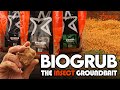 NEW!!! BIOGRUB – THE INSECT GROUNDBAIT | AQUASTIM'S GROUNDBREAKING ALTERNATIVE TO FISHMEAL &amp; CEREAL