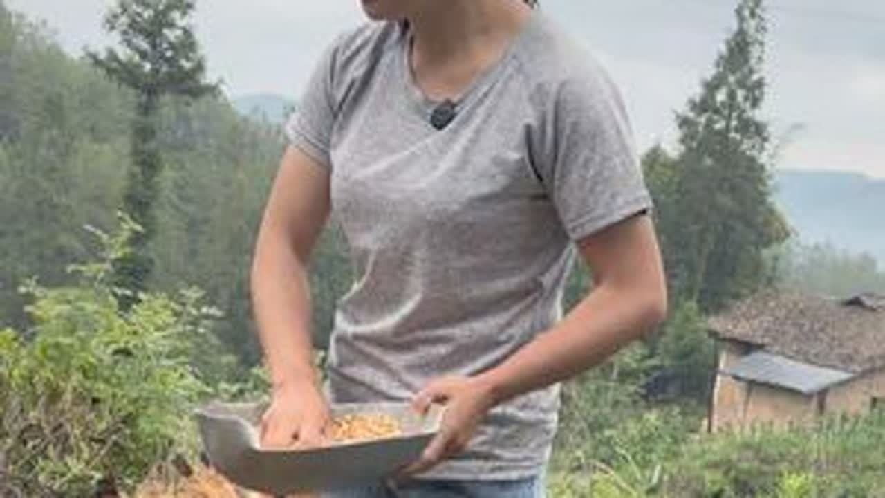 一个人在山上放鸡的日常，#我的乡村生活  #山里姑娘农村生活