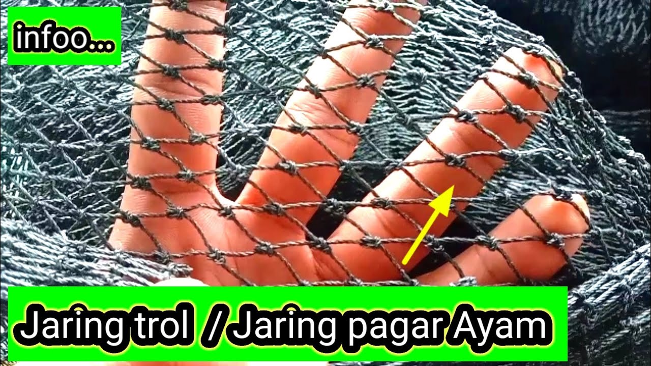 Harga Jaring Pagar Ayam Kuat & Tahan Lama – Solusi Aman untuk Kandang dan Umbaran Ayam