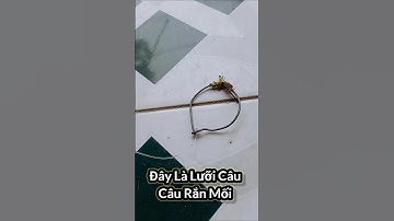 Cách Câu Rắn Mối Đơn Giản Nhất.!#mientay