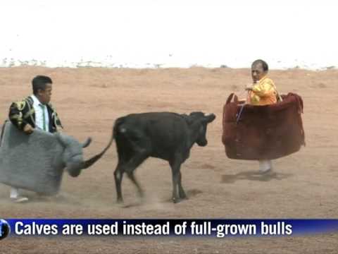Mexico's bullfighter dwarves: small but gutsy