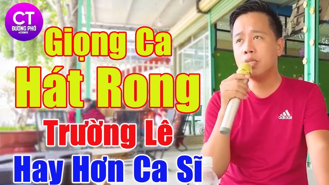 LK Trường Lê Mới Nhất 2025, LK Trường Lê Hát Rong Hay Nhất - Triệu ...