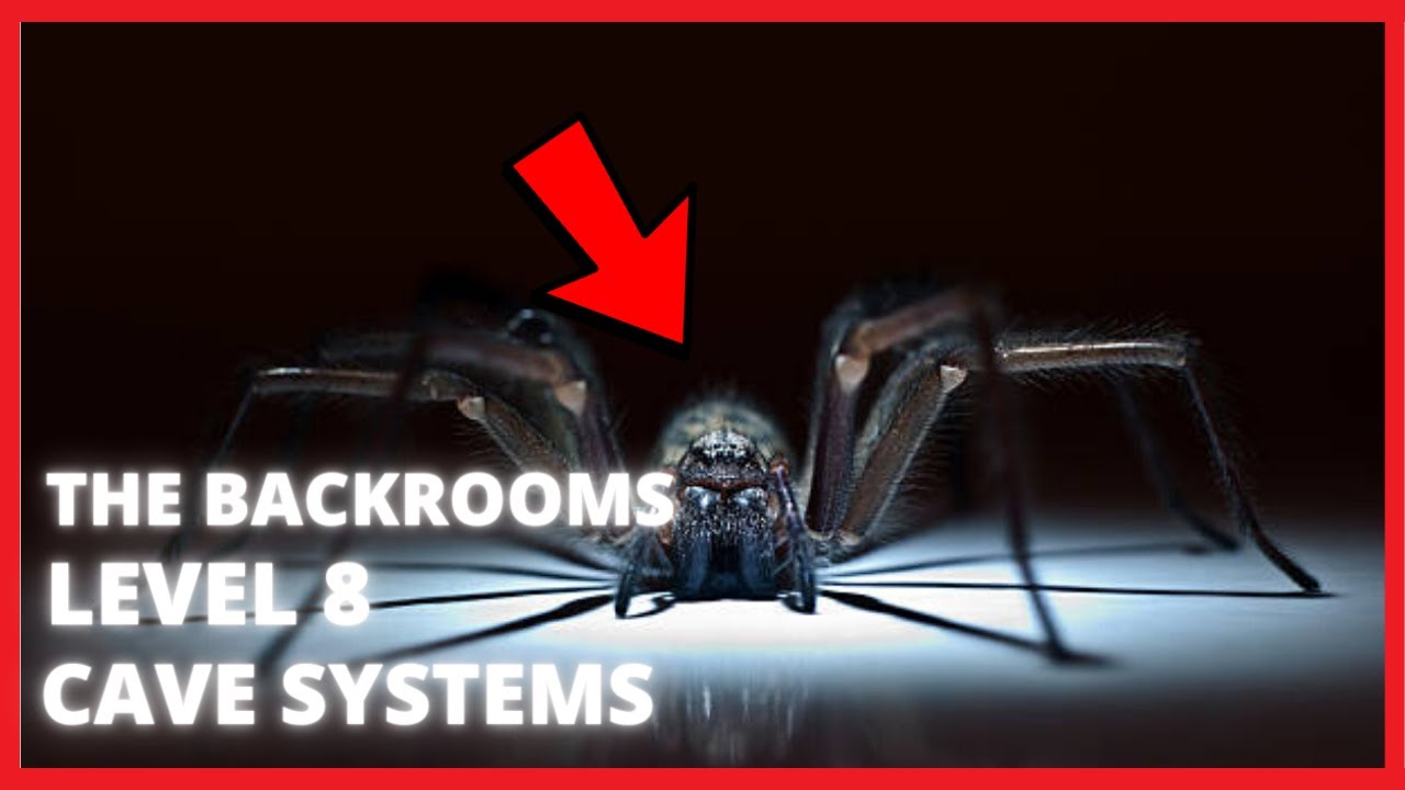 The Arachnids of Level 8 Are NOT Normal Spiders! #Backrooms - Entity 39 