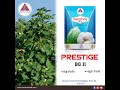 Prestige BG 11 Cotton Hybrid Seeds KCHH 932 BG 11 Sonam Seeds 