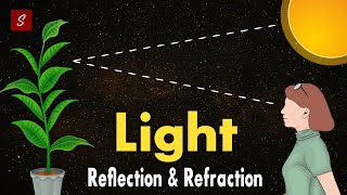Light Reflection and Refraction Class 10 full chapter (Animation) |  Class 10 Science Chapter 10