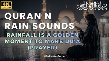 وَآتَاكُم مِّن كُلِّ مَا سَأَلْتُمُوهُ ❤️ تلاوة القرآن مع مطرٍ يحمل البركة🌧Quran and Rain Sounds