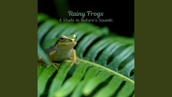 Frog Song Scholar - DayDayNews