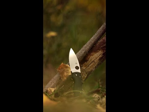 ????Now Shipping ???? Spyderco Shaman Lightweight!