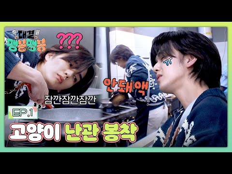 벌써부터 죽을 맛💦 사전 테스트부터 기 다 빨린 유승호😅 | 대결! 팽봉팽봉 1회 | JTBC 250419 방송
