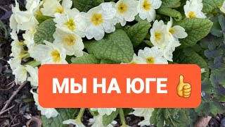 198ч🏡29.03.24-ПЕРЕЕЗД НА ЮГ/ПЕРВЫЙ ДЕНЬ В ДОМЕ