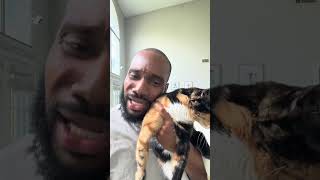 I UNDERSTAND WHY PEOPLE HATE CATS!!