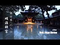静寂に包まれた異世界への入口 明治神宮 2024 MEIJI JINGU SHINTO SHRINE THE WAY TO THE OTEHRWORLD 令和6年 初詣 ASMR