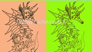 Saldature Subacquee Cappanera Daniele Www.technosub.it