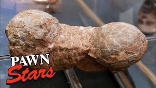 Are These REAL Dinosaur Eggs?!' 60 Million Year Old Treasure! (Season 9) | Pawn Stars screenshot 1