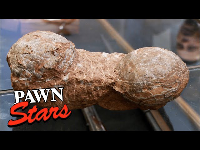 'Are These REAL Dinosaur Eggs?!' 60 Million Year Old Treasure! | Pawn Stars (Season 9)