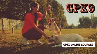 Celebrity Discover the secret to unlocking your dog’s true potential with GPK9’s online training courses! 🐾 Wealth