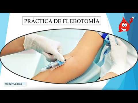 ¿Qué Cursos Necesita Tomar Para Convertirse En Flebotomista?