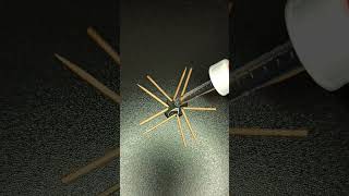 Celebrity Toothpick and water experiment|Toothpick star|Fun experiment #asmr #experiments #satisfying #shorts Wealth