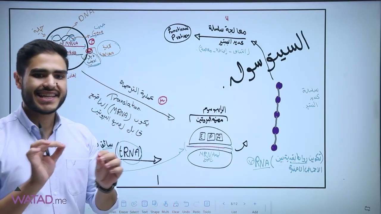من الجين إلى البروتين الجزء الأول - أ: محمد العبسي- علوم حياتية - توجيهي فلسطين 