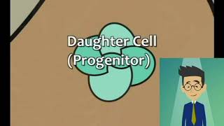 Hematology - Hematopoietic Stem cell screenshot 5