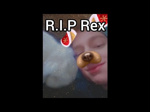 R.I.P Rex