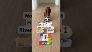 Spain vs Argentina | River’s World Cup 2026 Final Prediction